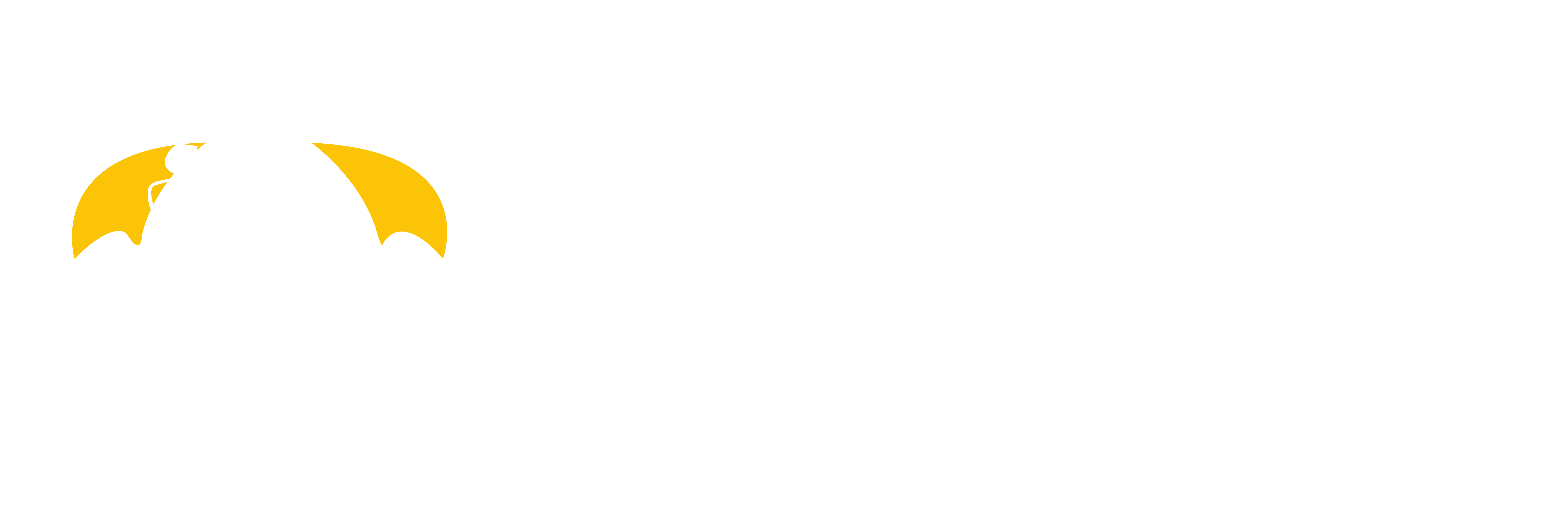 Women at Work International